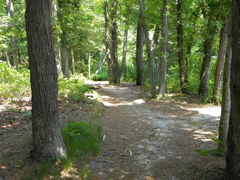 Situated in a rural location, this romantic cabin is 0.7 mi (1 km) from police outpost provincial park and within 20 mi (32 km) of remington carriage museum. Parvin State Park, a New Jersey State Park located near ...