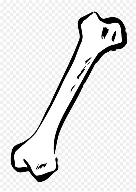 Dog Bone Clip Art Cartoon Ilustrace Bones Dog Pelvis Clipart