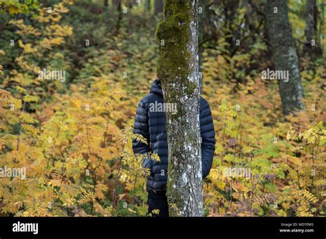 Teenage Boy Hiding Behind Tree Stock Photo Alamy