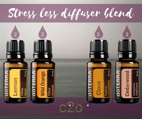 😨 Stressing Try This Diffuser Blend Essential Oil Diffuser Blends