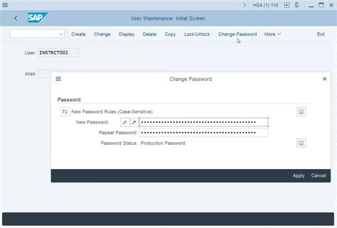 Sap How To Reset And Change Password