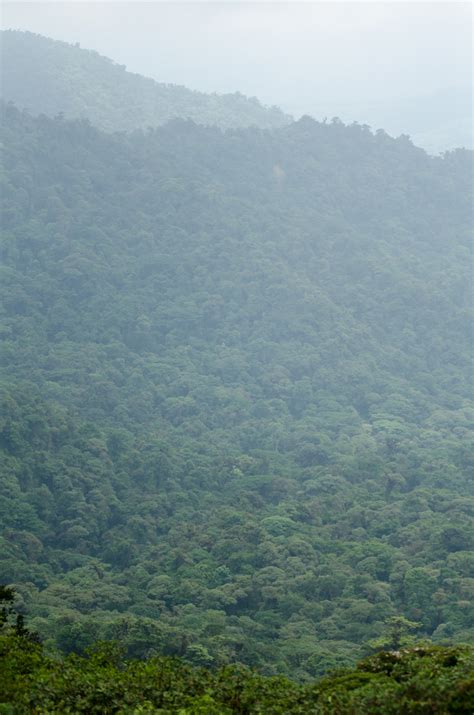 Monteverde Cloud Forest Costa Rica Duffs Suitcase