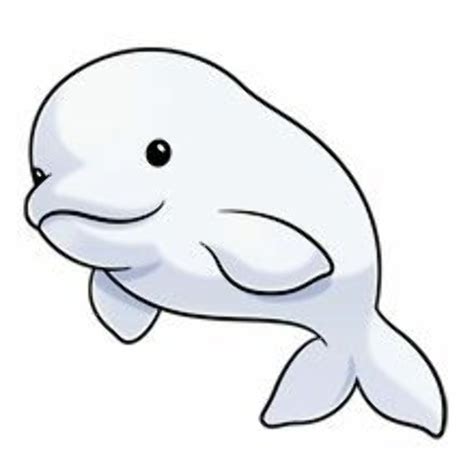 Download High Quality Whale Clipart Beluga Transparent Png Images Art