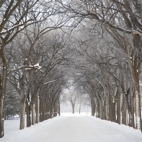 Assiniboine Park Winnipeg Manitoba Photograph By Keith Levit