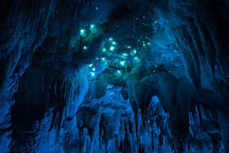 Long Exposure Photographs Of A New Zealand Cave Illuminated By Glowing