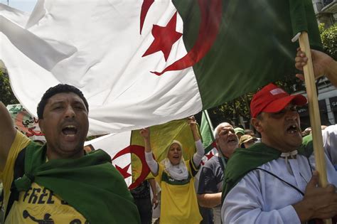 Africa Cup Of Nations Algerian Fans Park Egyptian Rivalry To Share Revolutionary Spirit
