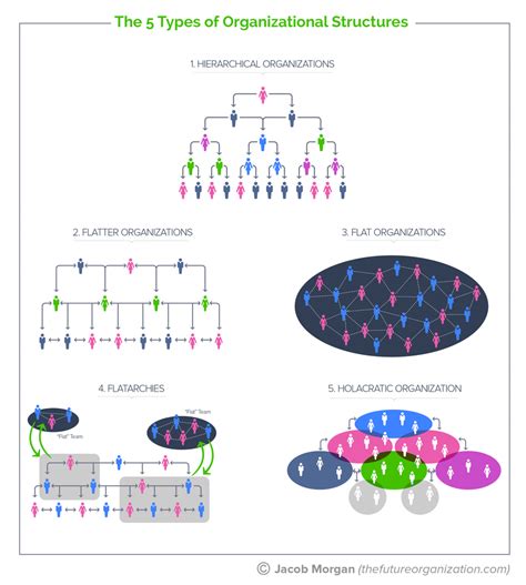 The Complete Guide To The 5 Types Of Organizational Structures For The