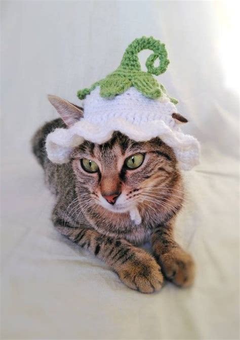 Flower Fairy Hat For Cat Flower Pet Costumehalloween Pixie Etsy
