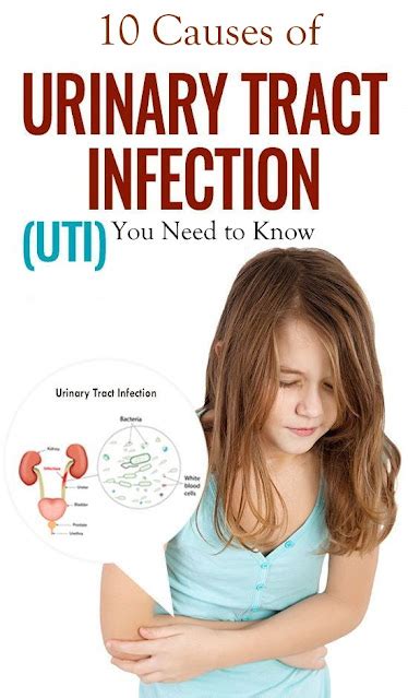 10 Causes Of Urinary Tract Infections Utis You Need To Know Healthmgz Healthy Living