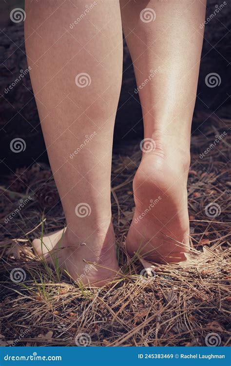 Barefoot Feet In Pine Needles Stock Image Image Of Person Toes