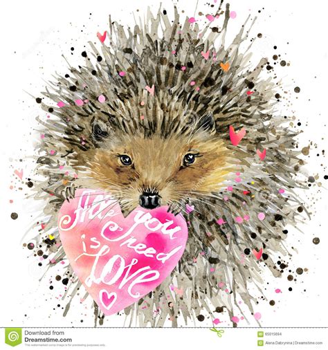 Hedgehog Illustration With Valentines Heart Stock Illustration