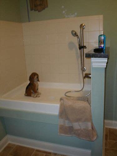 17 Best Images About Dog Wash Dog Bath On Pinterest Bathing For