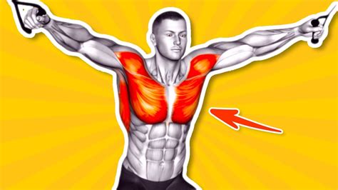 Chest Workout At Gym Best Chest Exercises At Gym Youtube
