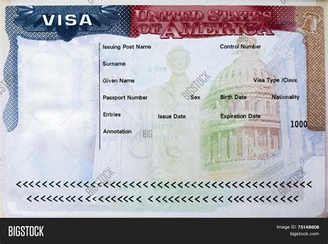 Us Passport Application