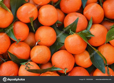 Bunch Of Fresh Oranges Tangerines On A Market — Stock Photo © Kipgodi