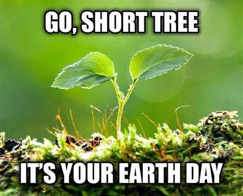 Earth Day 2024 All The Memes You Need To See