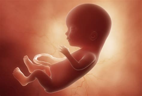 Foetus Al Na 12 Weken Zwangerschap In Aanraking Met Roetdeeltjes Medi