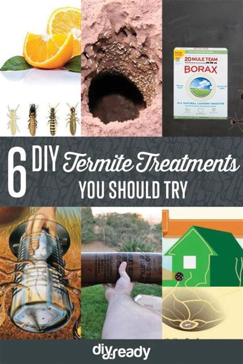 6 Diy Termite Treatments
