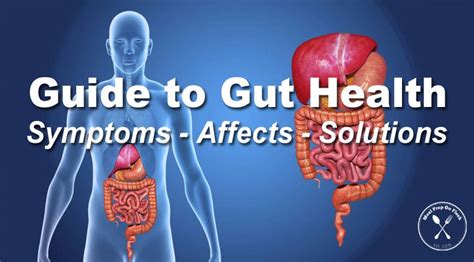 Easy Guide To Gut Health