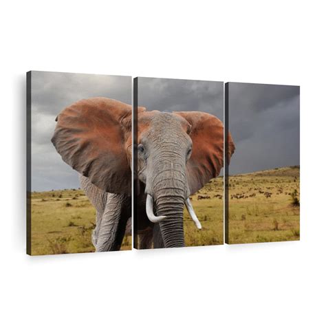 African Elephant Wall Art Photography