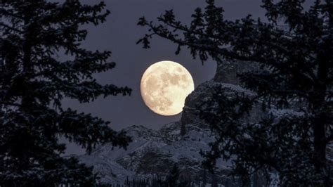 Decembers Full Cold Moon 2019 Uk Hubpages