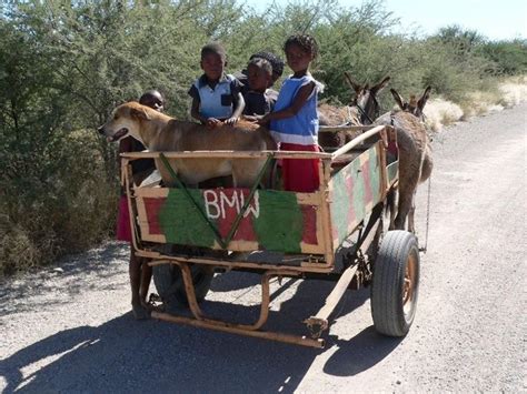Bmw Donkey Cart Namibia Africa Transport Donkeycart