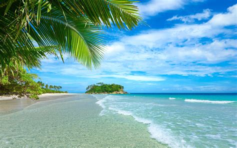 Blauer Himmel Und Meer Strand Küste Palmen Tropisch Wasser