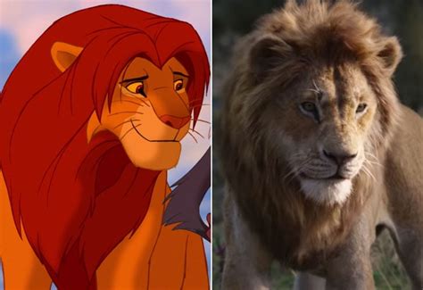 Simba Lion King Cartoon And Live Action Cast Side By Side Photos