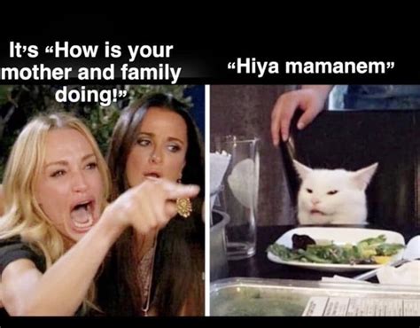 Woman Yelling At Cat Memes That Perfectly Showcase Strange Southern Slang Memes Southern