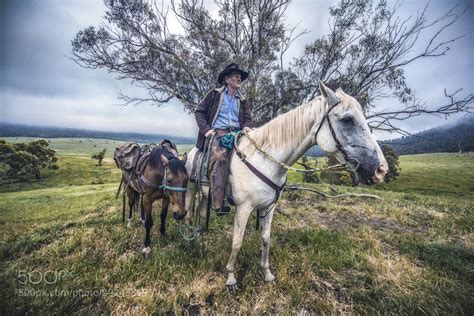The Man From Snowy River Man From Snowy River Cool Landscapes Snowy
