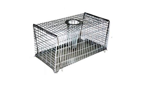 Multi Catch Rat Trap Large Pestrol Has A Huge Range Of Animal Traps