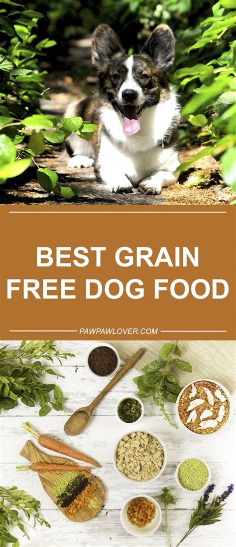 Additionally, the kibble is highly digestible for the most sensitive of stomachs. Top 10 Best Grain Free Dog Food That's Healthy And Cheap # ...