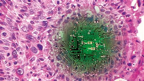The Global Digital Pathology Market To Reach Usd 13 Billion By The End