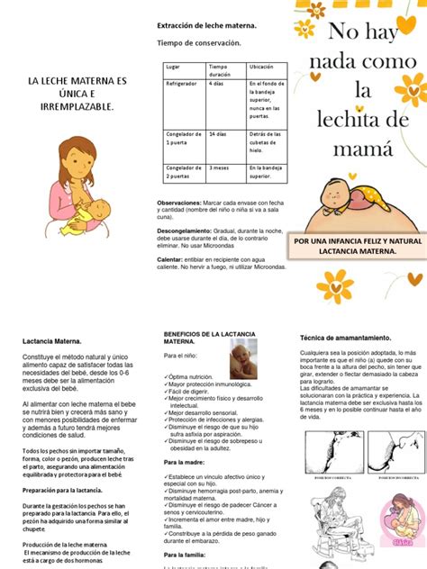 triptico de lactancia materna pdf la leche materna amamantamiento
