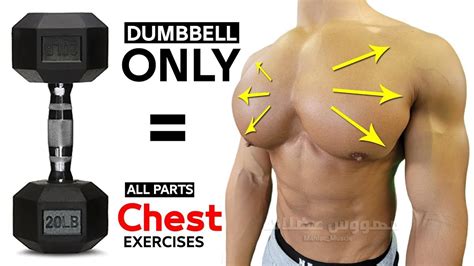 7 Best Chest Exercises With Dumbells Only 🎯 Youtube