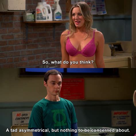 Click To See More Hilarious The Big Bang Theory Gags Big Bang Theory