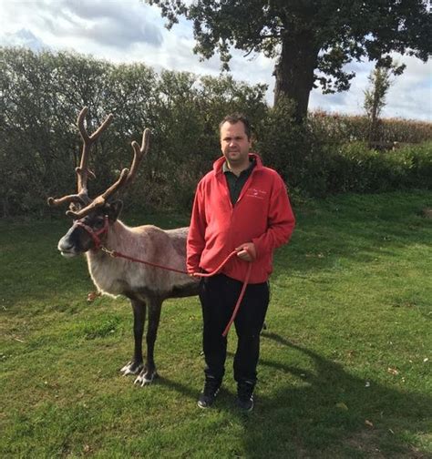 You Can Hire A Herd Of Reindeer From An Essex Farm This Christmas