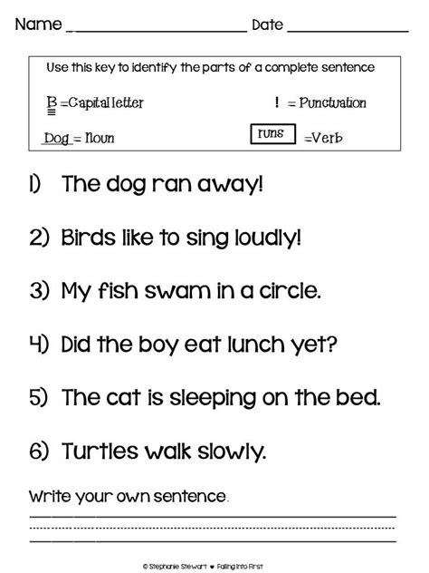 Find The Nouns In The Sentence Worksheet