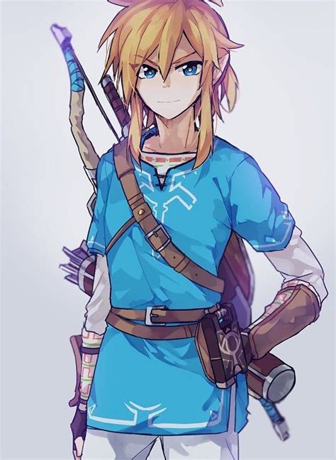 Link Legend Of Zelda Breath Of The Wild Legend Of Zelda Legend Of