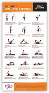 Sport2people Stretch It Out Poster With Full Body And Yoga