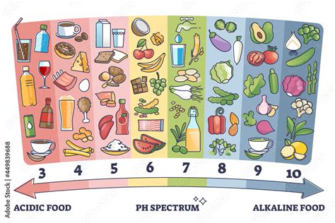 Acidic Vs Alkaline Eating Foods Meal Examples On Ph Spectrum Outline