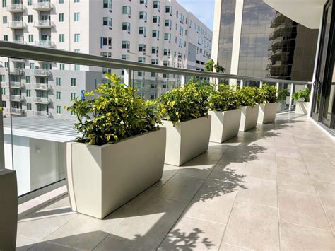By privacy plants we mean any type of plant which can be used to create dividers or to gain privacy for decks and any space in general. Outdoor Privacy Plantings For Balconies | Plant Parents