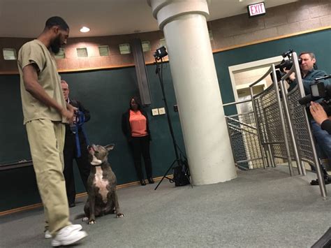 At Risk Dogs Graduate From Training Program With Jail Inmates Wbez