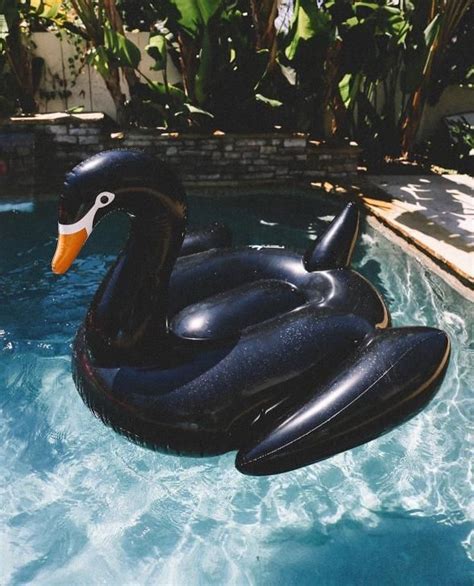 23 Of Summer 2017s Most Unique Pool Floats Swan Pool Float Black