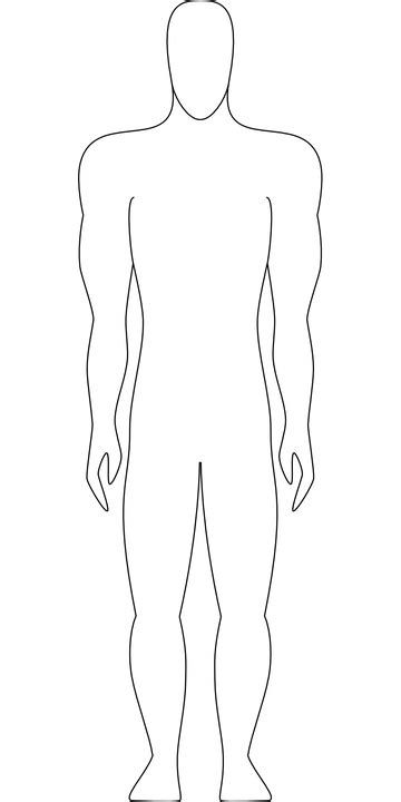 Masculino Figura Humano Gráficos Vectoriales Gratis En Pixabay Pixabay