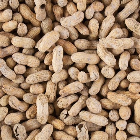 Hampton Farms 25 Lb Bulk Salted Peanuts In Shell