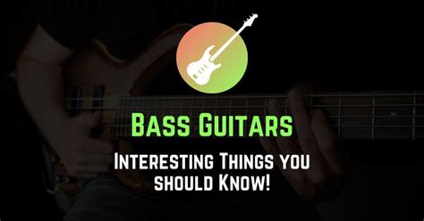 Bass Guitars 13 Interesting Things You Should Know