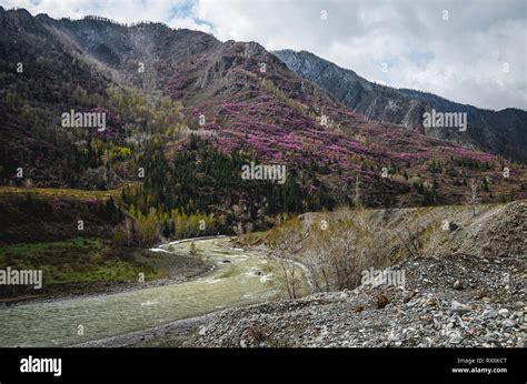 Mountain Landscapes Of The Chui Tract Altai Valley Chuya