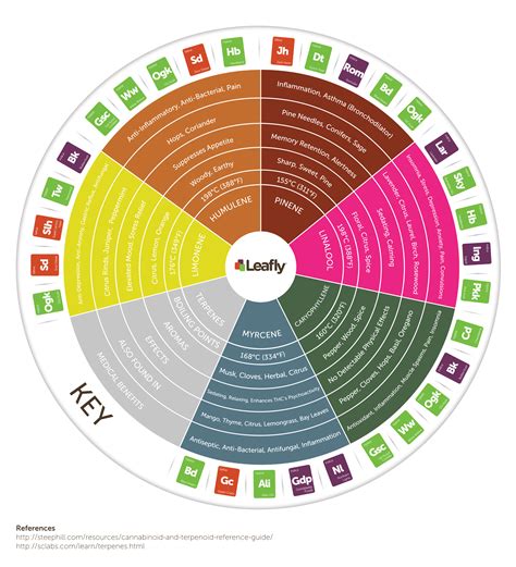 Infographic How Do Cannabis Terpenes Affect The Body Leafly