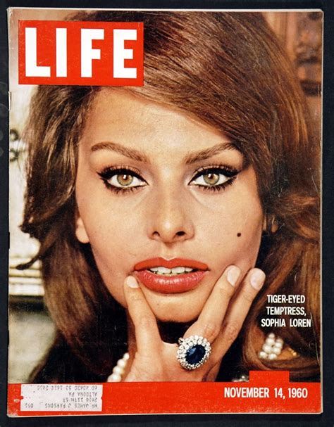 Sophia Auburn Ginger Sophia Loren Life Magazine Covers Sophia